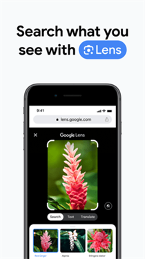 谷歌浏览器app下载图4
