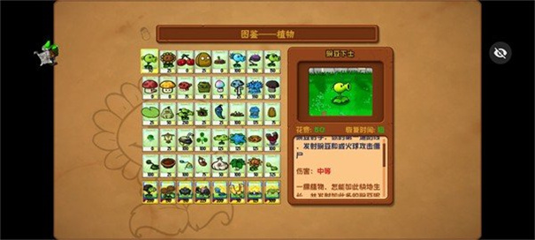 植物大战僵尸小e版图1