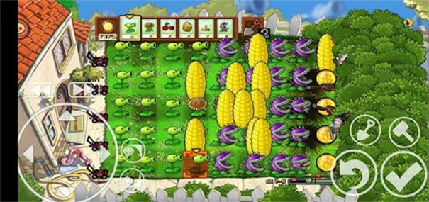 植物大战僵尸小e版图2