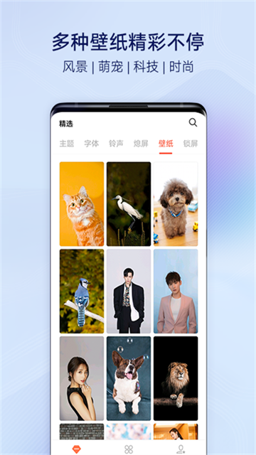 vivo主题商店免费版图4