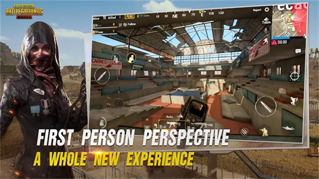 PUBG先行服手机版图2