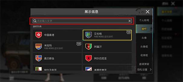 绝地求生国际服手游