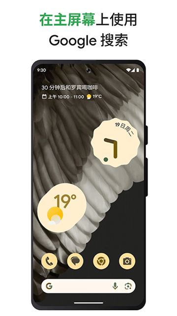 Google搜索安卓手机版图2