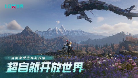 七日世界官网版图2